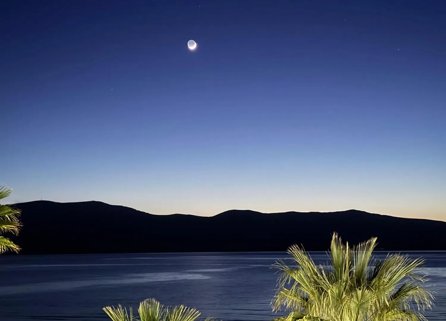 Alcazar Luxury Suites Vlorë ベッド・アンド・ブレックファスト